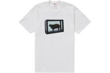 Supreme Damien Hirst Tee