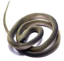 2 Pcs  Rubber Snake Realistic Gag Gifts Plastic Funny Snake 47 Inch