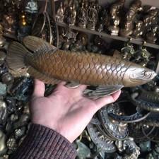 Rare fengshui Bronze Luck brass Carved statue ' Fish every year ' Wish U Wealth