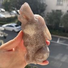 0.9LB 4.9" Rare Natural Pink Amethyst Baby Wolf Crystal Carving Heal Decor Reiki