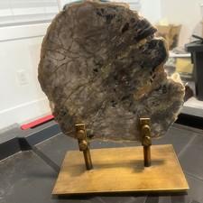 Revelation By Uttermost Polished Petrified Wood Sculpture On Brass Stand REDUCED