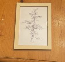 Vintage Style Tree Sketch Print Framed Neutral Minimalist Botanical Wall Art 8x6