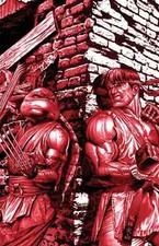 TMNT vs. Street Fighter #1 - Mico Suayan - Virgin Variant Exclusive