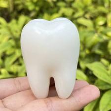 1pc Natural white jade tooth skull hand carved Quartz Crystal skull Healing