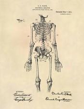 Doctor Vintage Anatomical Skeleton Official US Patent Art Print - Physician -779