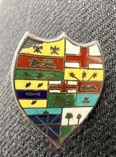 ANTIQUE Guilloché STERLING SILVER ENAMEL SHIELD CREST FAMILY Pin Item? Read D1