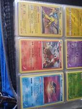 Raikou Entei Suicine
