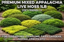 Live Sheet Moss Assortment 18oz – Terrarium, Vivarium, Fairy Gardens, Bonsai.