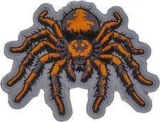 Spider Patch- 3x3 inch - P7890