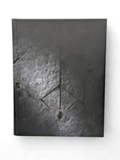 2015 Bloodborne Collector's Edition Hardcover Strategy Guide Book - Future Press