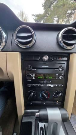 2005 Ford Mustang  V6 Premium 2dr Fastback 12