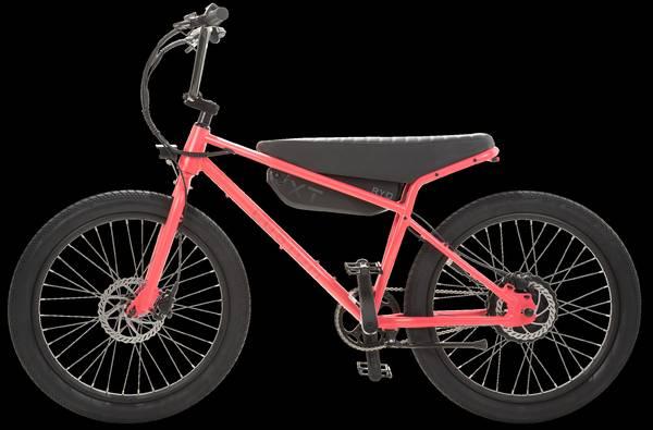 RYD Custom XT  (The ZooZ Killer) THIS BIKE RIPS! 5
