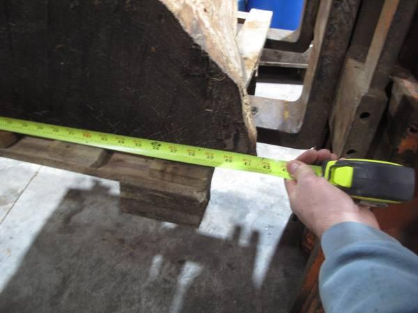 LARGE Fir Log Off Cut for coffee table 5