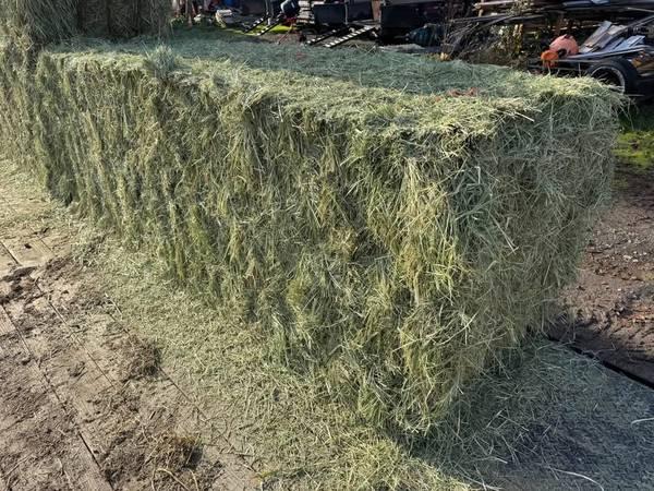Eastern Oregon Hay