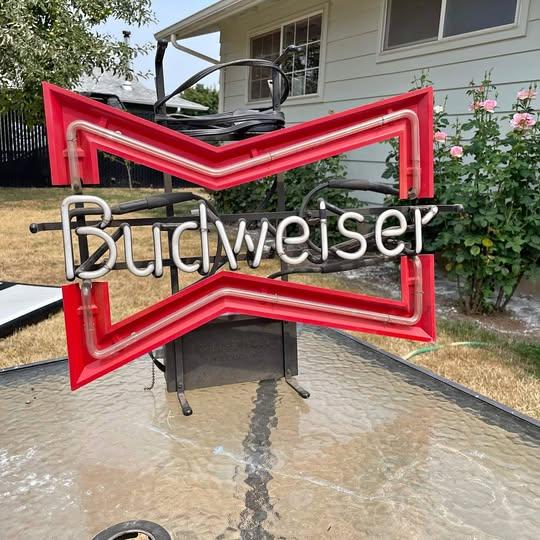 Vintage Budweiser Neon Sign
