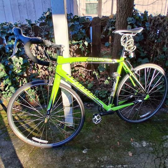Specialized Allez Road/Race Bike 56cm