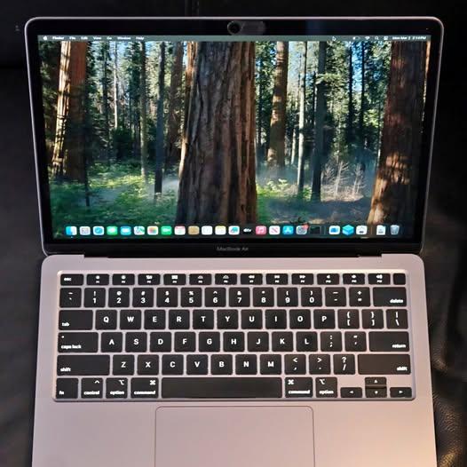 MacBook Air 13-inch (Early 2020)