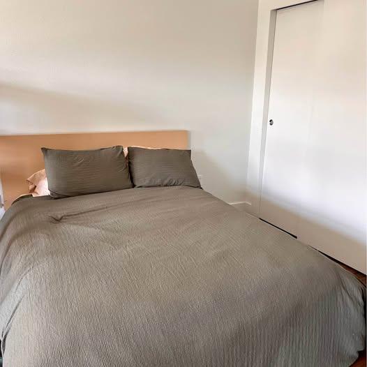 Queen Malm IKEA Bed Frame