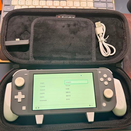 Nintendo Switch Lite