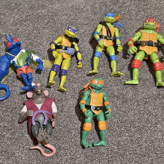 Teenage Mutant Ninja Turtles Lot (6)
