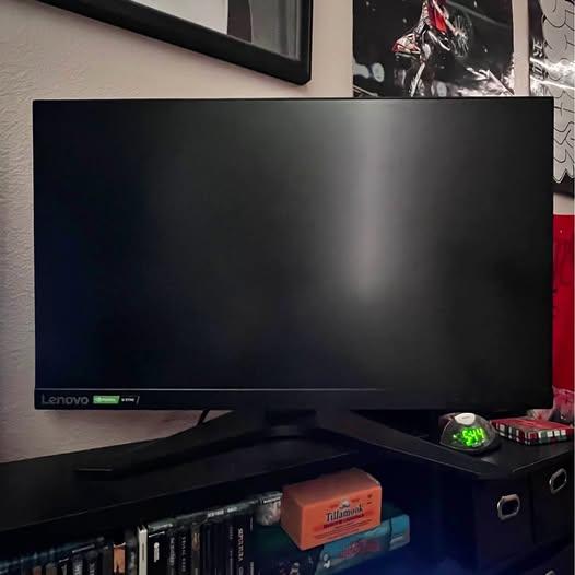 Lenovo G25-10 Gaming Monitor