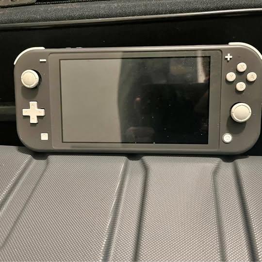Grey Nintendo switch lite