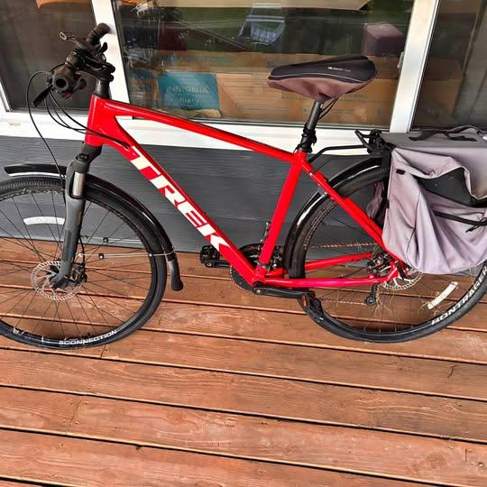 Trek Dual Sport 2 M