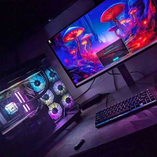 Gaming PC with Monitor