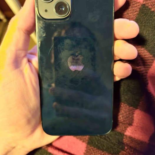 iPhone 13 128gb