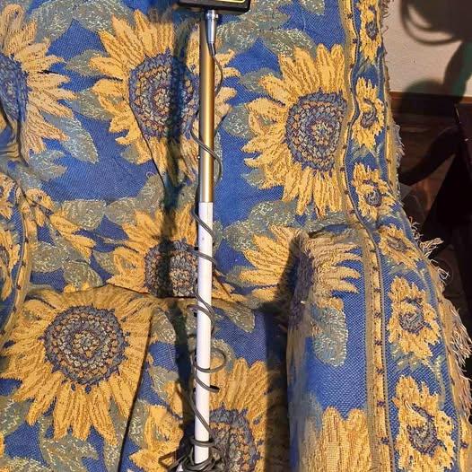 Garrett "The Scorpion gold Stinger" metal detector.