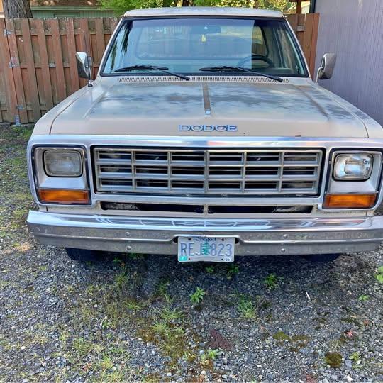 1984 Dodge Pickup D250