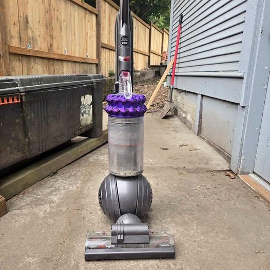 Dyson Big Ball Animal+ Vacuum with all attachments and manual