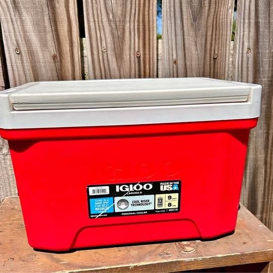 Igloo Cooler 9qt