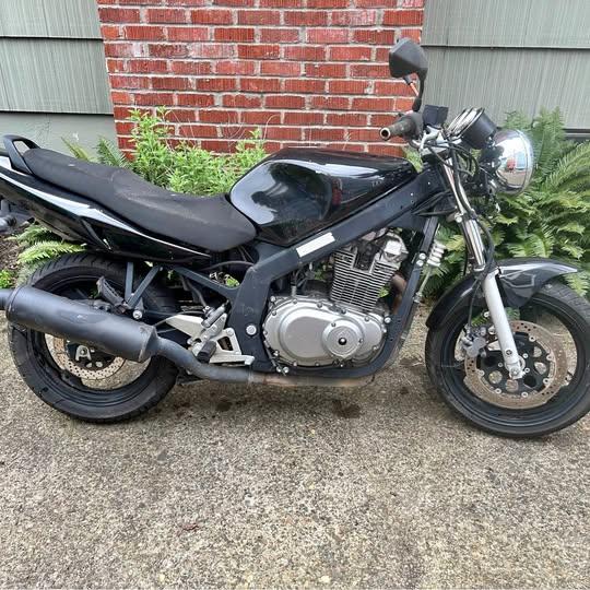 1995 Suzuki Gs 500