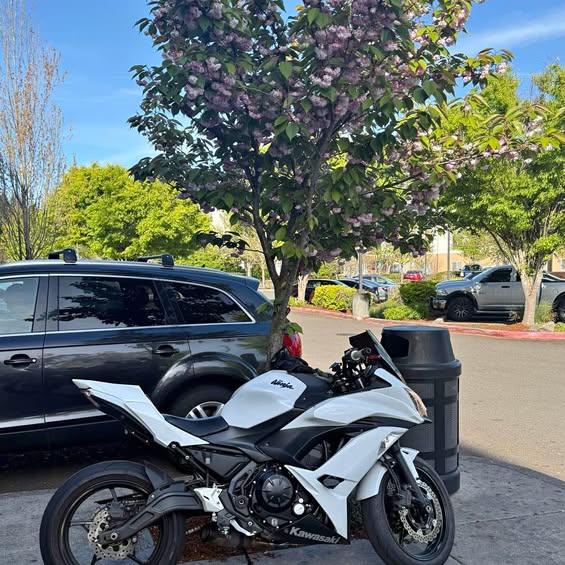 2017 Kawasaki Ninja
