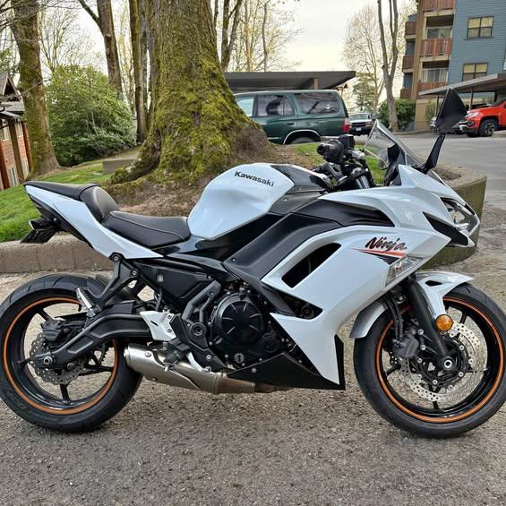 2020 Kawasaki Ninja