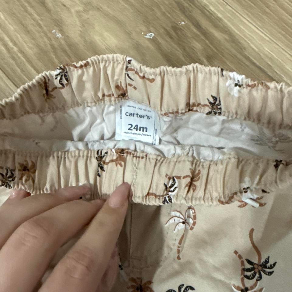 Beige And Brown Palm Tree 45c9 2