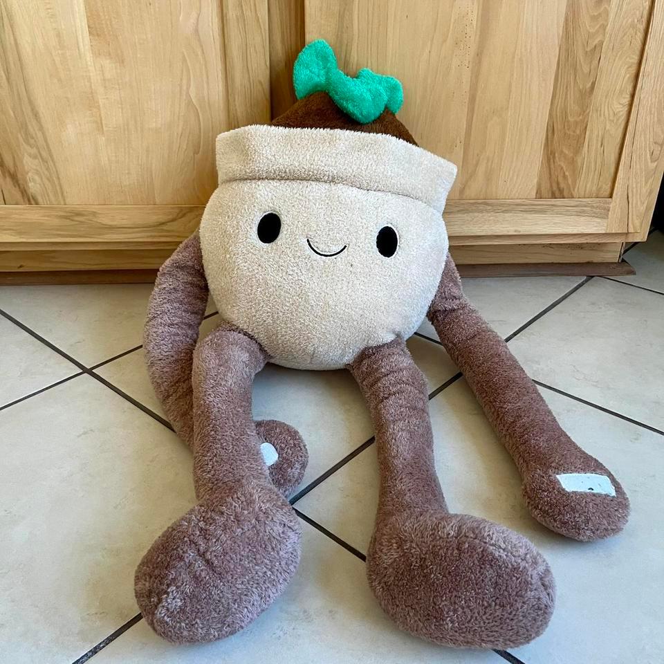 Jumbo Succulent Plush 25 Fiesta F1da