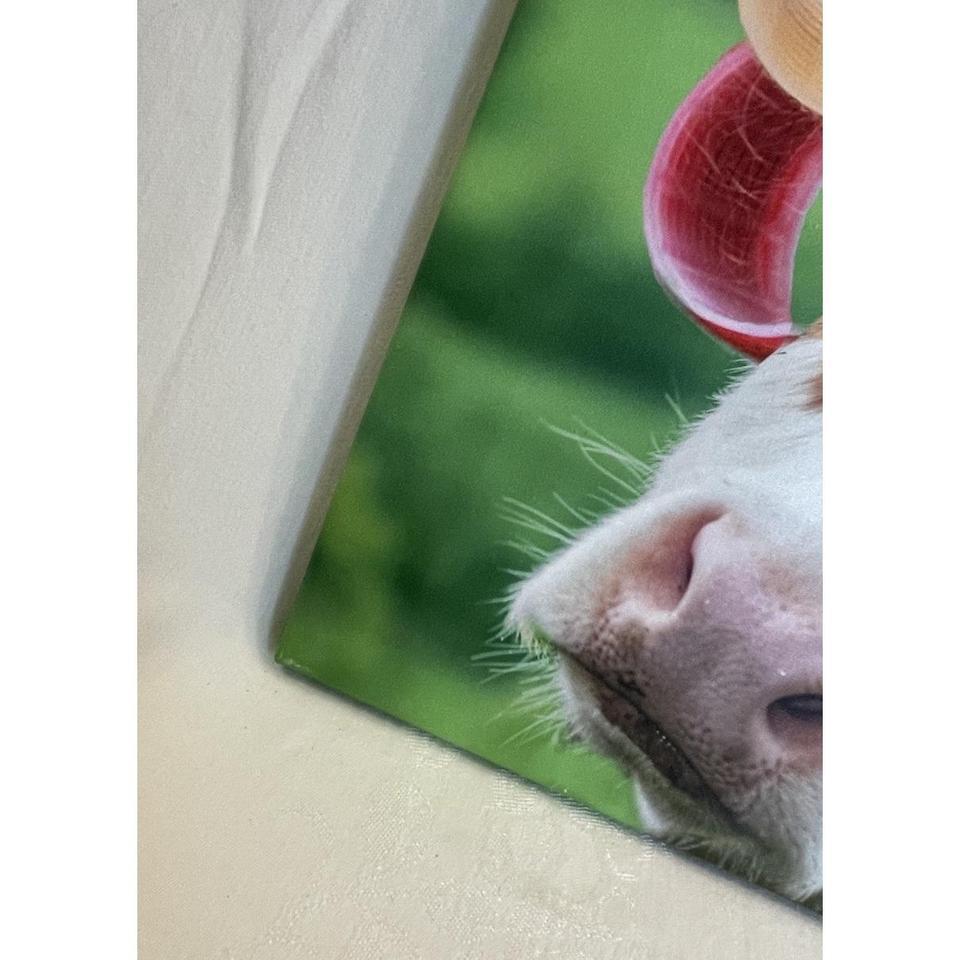 Cow In Curlers Canvas Wall C699 3