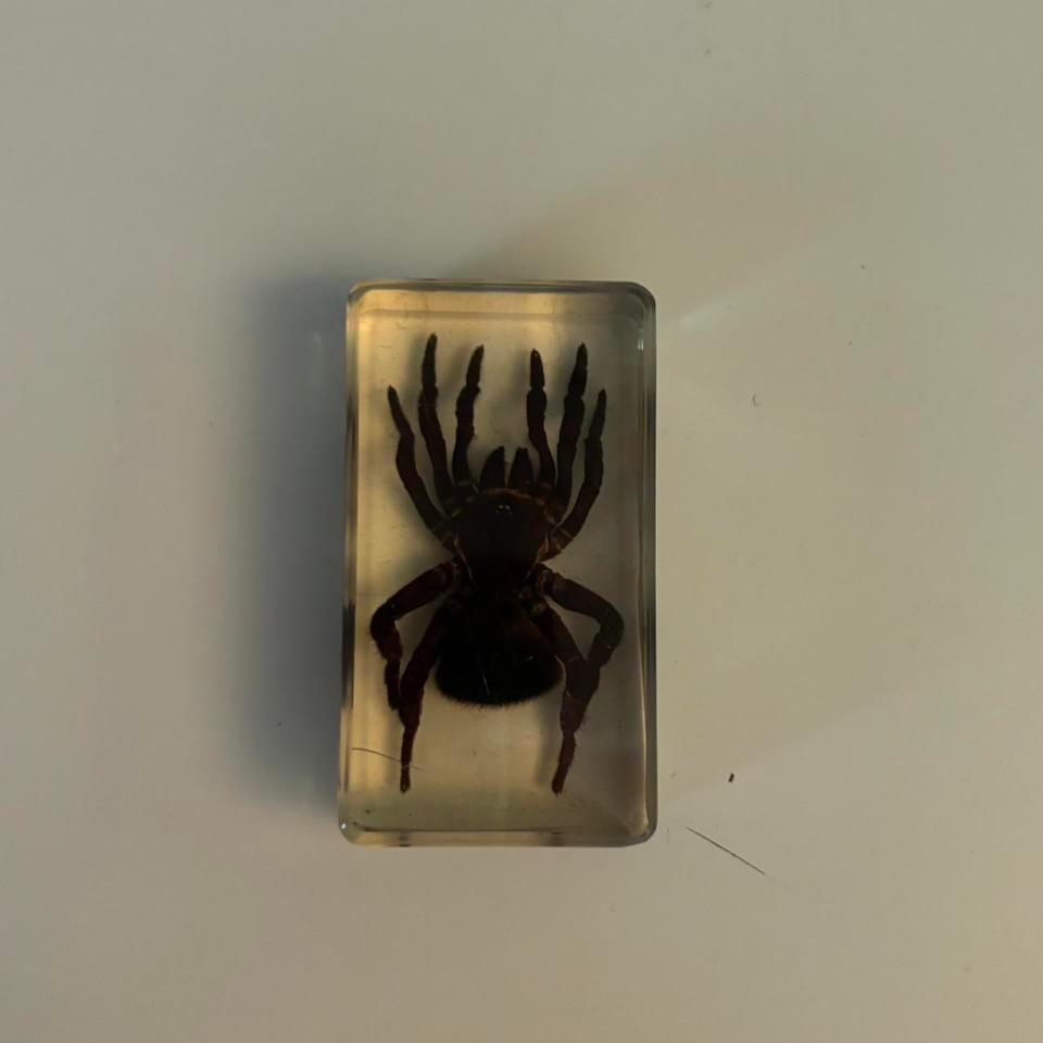 Spider In Resin Tags Spider 2527