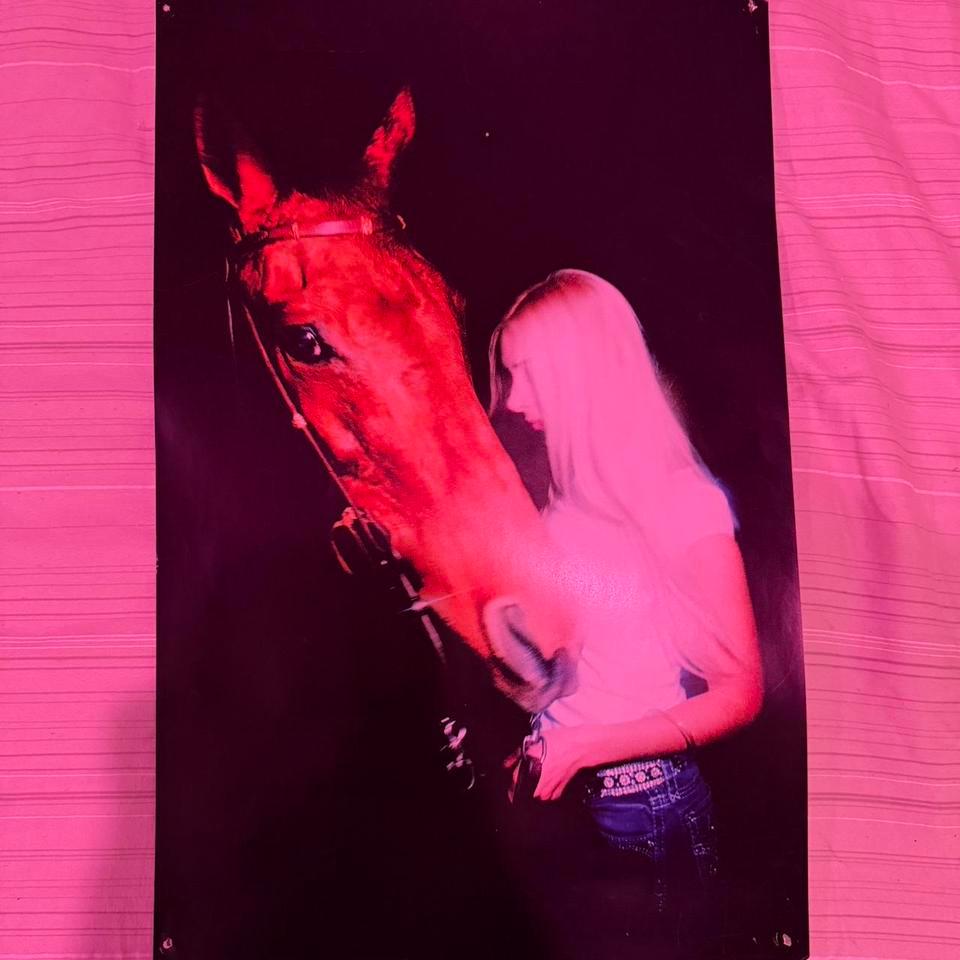 Cowgirl Clue Poster By Jaxon Bf37