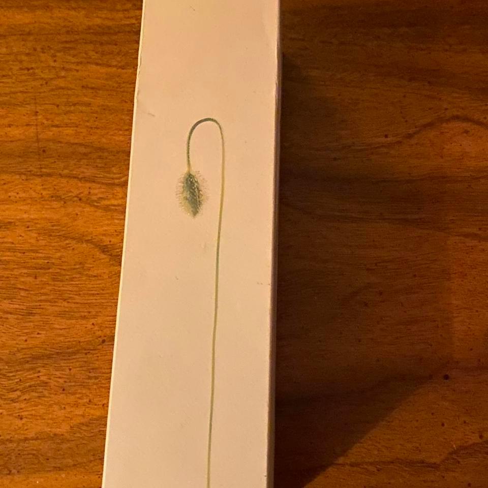 Kenzo Flower By Kenzo Eau 8d07 2