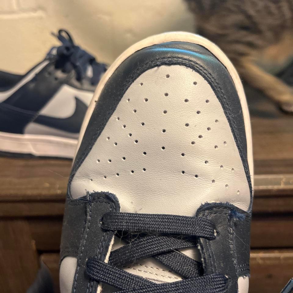 Nike Georgetown Dunks Size 105 7b7e 7