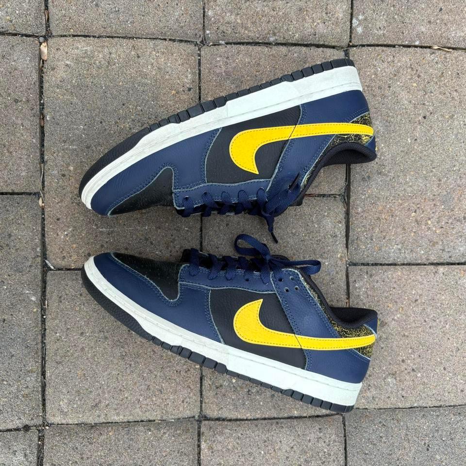 Nike Dunk Low Michigan Trainers 431c