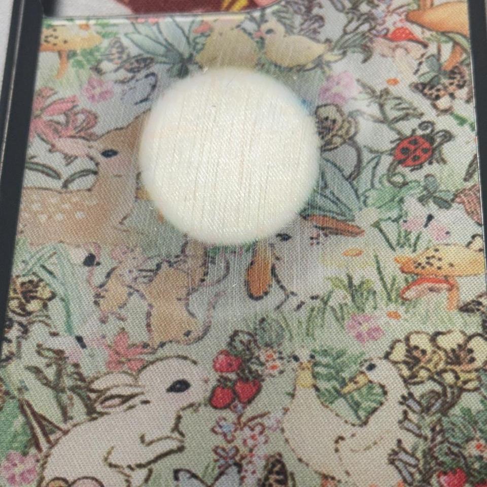 Taylor Giavasis X Wildflower Iphone 2820 2