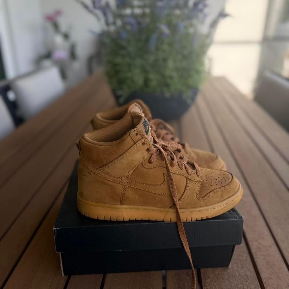 Nike Dunk High Pro Sb 6fae 2