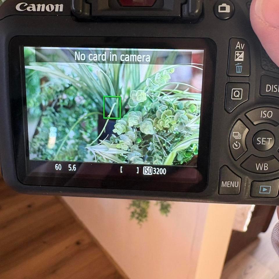 Canon Rebel T7 For 9aed 7