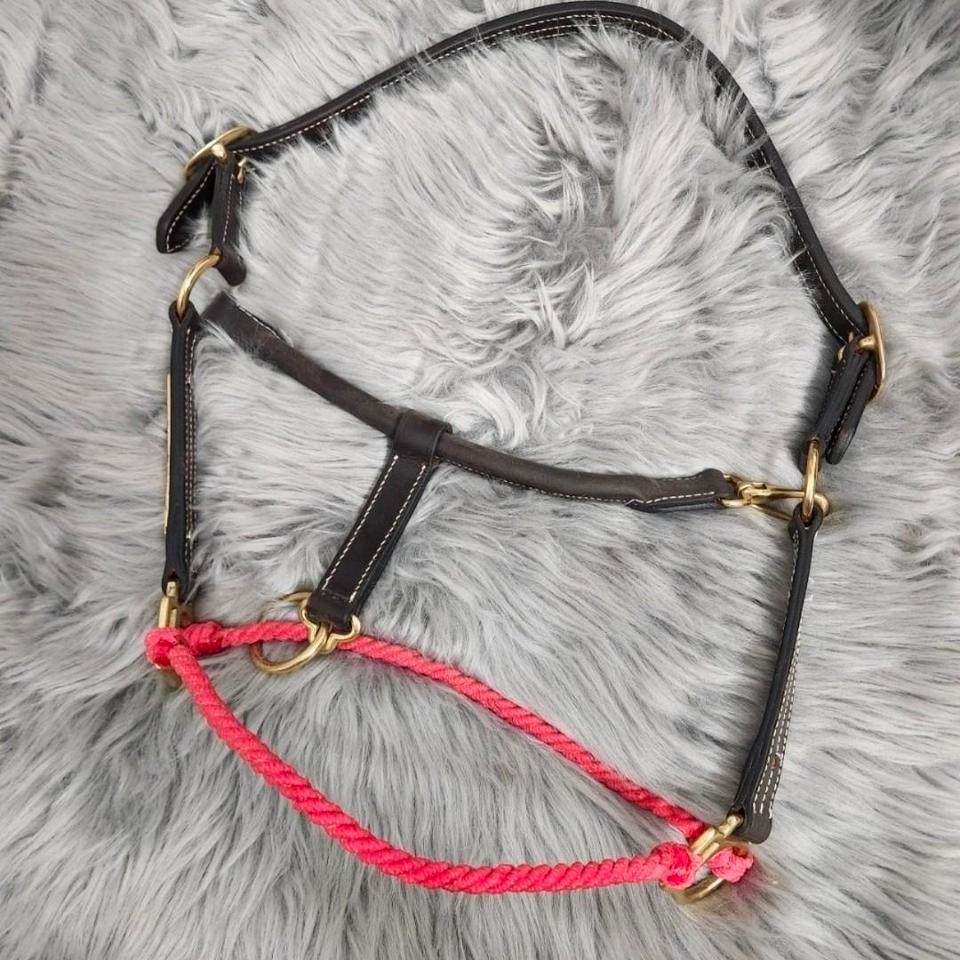Hot Pink Horse Halter Hybrid 11e0