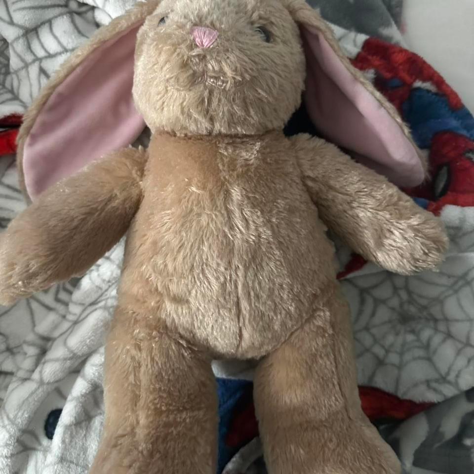 Brown And Pink Stuffed Bunny 1ef7
