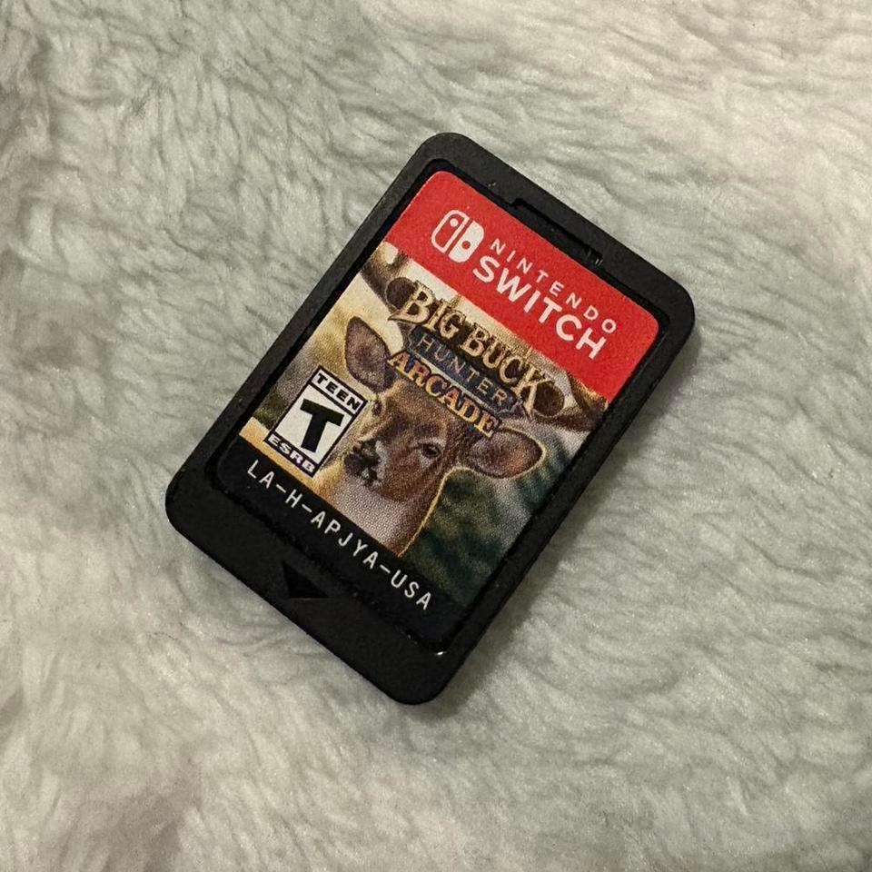 Nintendo Switch Video Game Big